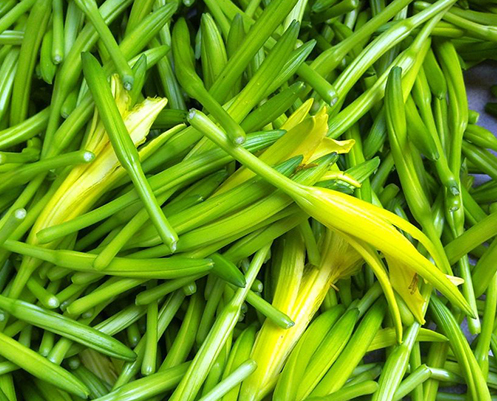 淮陽(yáng)特產(chǎn)-黃花菜